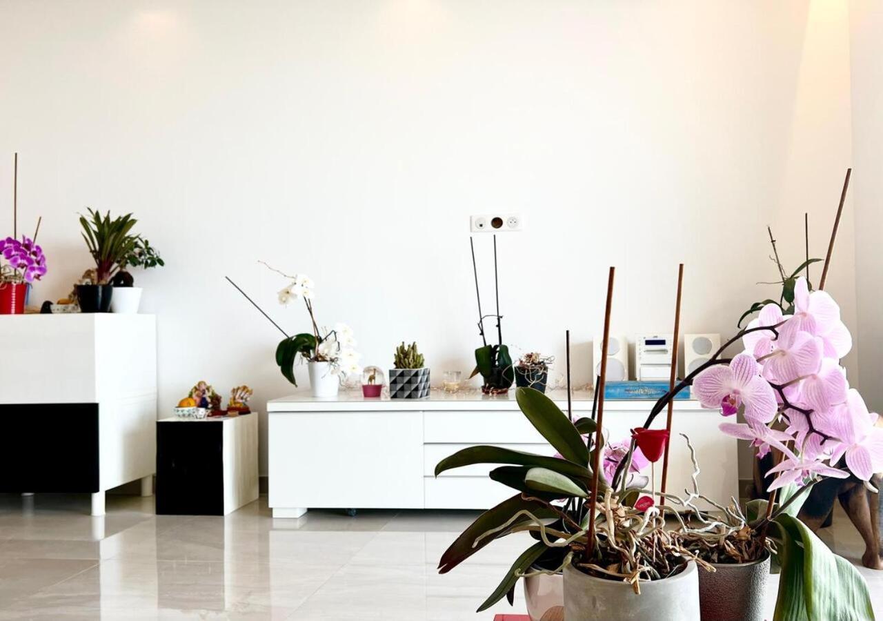 L'Appaloosa De Mer-Pool Tennis Parking-Sea View - -Capitalchic Services Cagnes Sur Me ภายนอก รูปภาพ