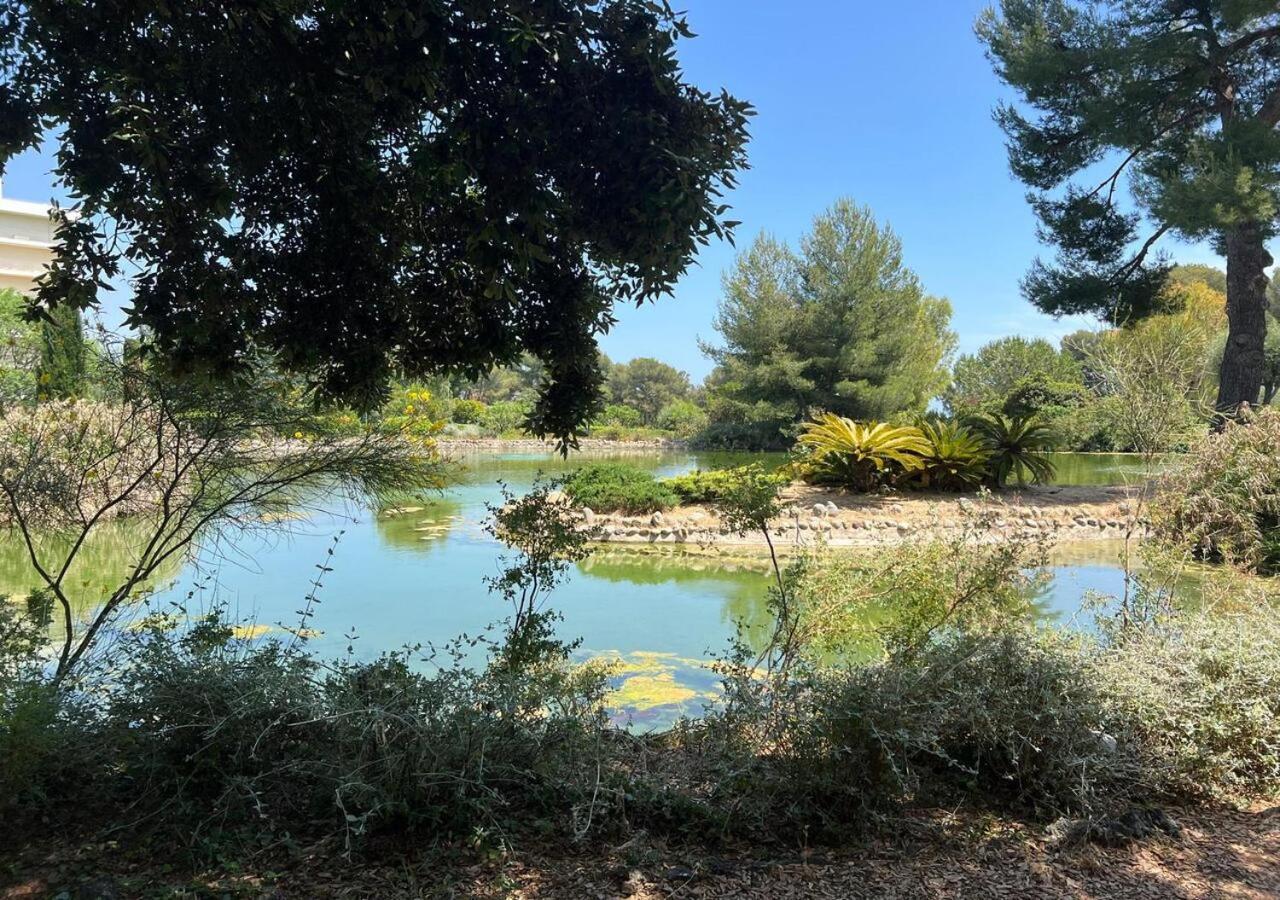 L'Appaloosa De Mer-Pool Tennis Parking-Sea View - -Capitalchic Services Cagnes Sur Me ภายนอก รูปภาพ